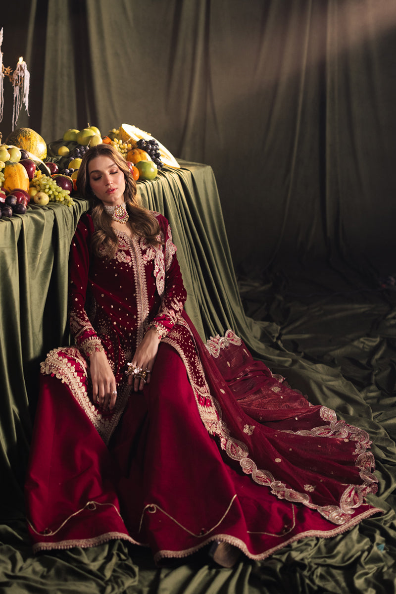 Qalamkar | Velvet Edit | BK-02 AMARA - House Of Hania