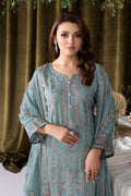 RAMSHA | Aangan Luxury Rawsilk Vol 01. | AA-109 - House Of Hania