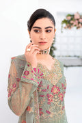 RAMSHA | Minhal Net Collection | M-802 - House Of Hania