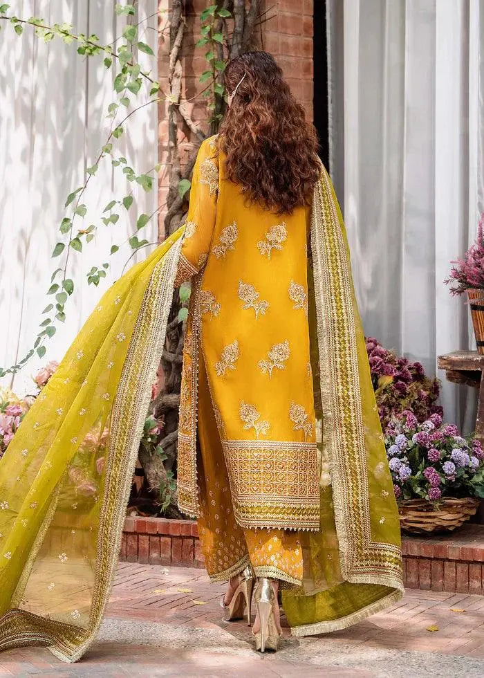 ROHI-AKBAR ASLAM - House Of Hania