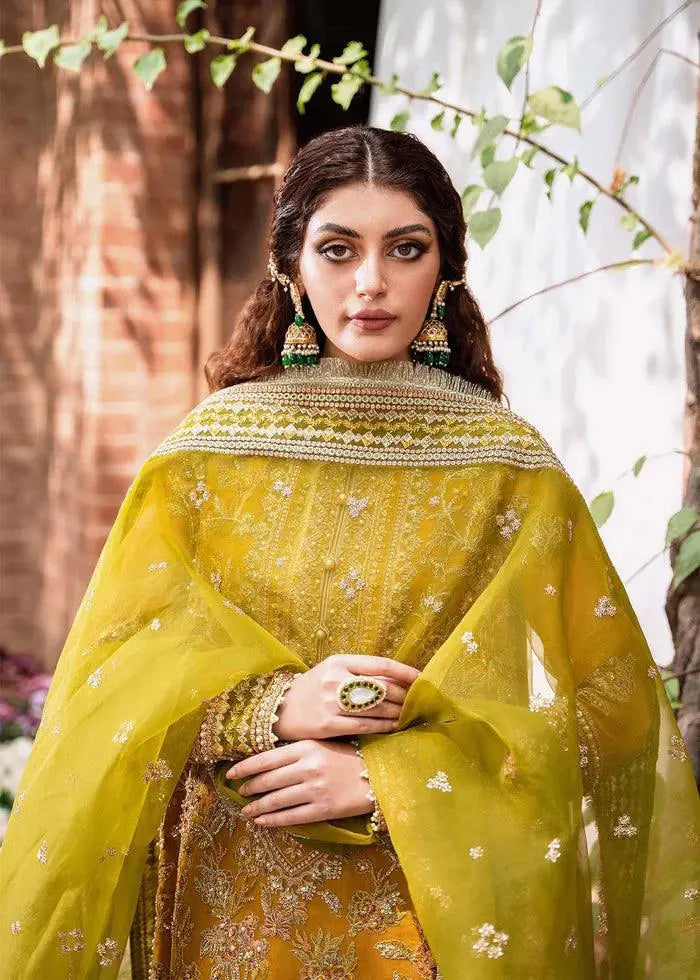 ROHI-AKBAR ASLAM - House Of Hania
