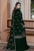 Raeesa Premium | Bareeza Velvet | VL-102 - House Of Hania