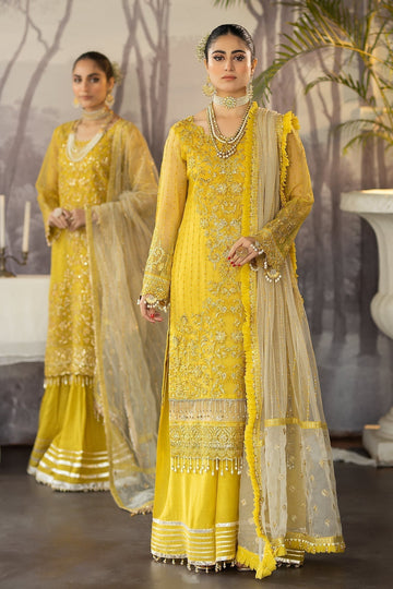 Raeesa Premium | Dehleez Formals | DL-1026 Mehfil-E-Aab - House Of Hania