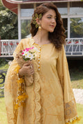 Raeesa Premium | Ferya Lawn | Noor E Fajar | Ferya | FD-01 - House Of Hania