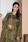 Raeesa Premium | Sharjeena Winter | KR-162 - House Of Hania