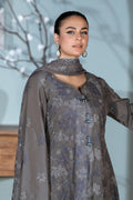 Raeesa Premium | Sharjeena Winter | KR-168 - House Of Hania