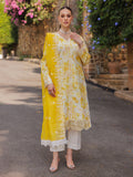 Rajbari | Floral Symphony Lawn 25 | RB-01 - House Of Hania