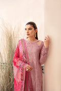 Ramsha | Andaaz Collection | Z-1008 - House Of Hania