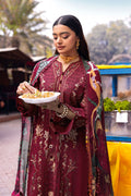 Ramsha | Andaaz Collection | Z-1104 - House Of Hania