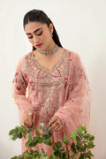 Ramsha | Minhal Organza Collection | M-1007 - House Of Hania