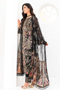 Ramsha | Minhal Organza Collection | M-803 - House Of Hania