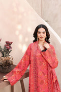 Ramsha | Naqsh Embroidered Rawsilk | RS-06 - House Of Hania