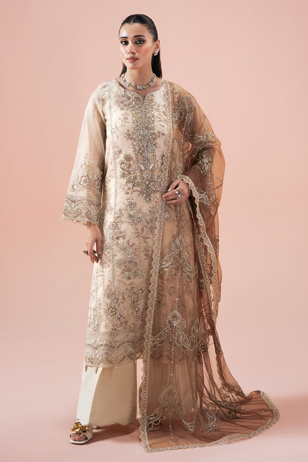 Ramsha | Rangeen Collection | PS-102 - House Of Hania