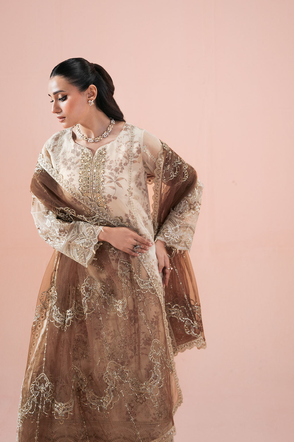 Ramsha | Rangeen Collection | PS-102 - House Of Hania