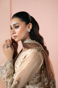 Ramsha | Rangeen Collection | PS-102 - House Of Hania