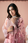 Ramsha | Rangeen Collection | PS-104 - House Of Hania