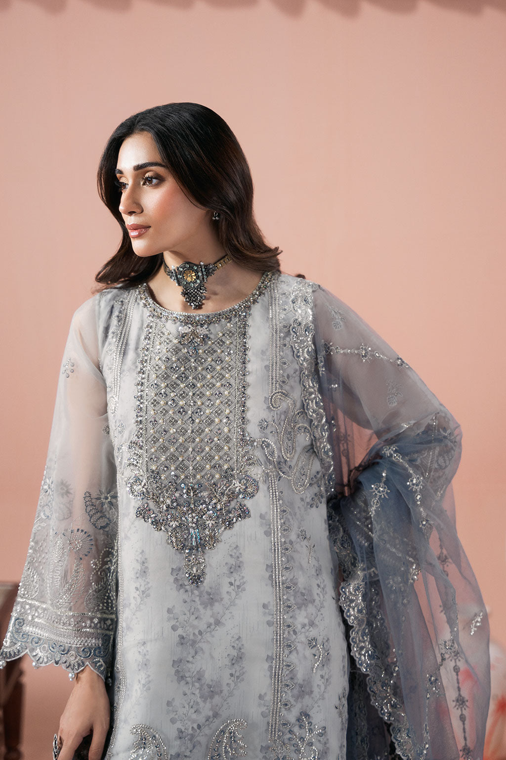 Ramsha | Rangeen Collection | PS-106 - House Of Hania