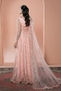 Ramsha | Rangeen Collection | PS-107 - House Of Hania