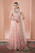 Ramsha | Rangeen Collection | PS-107 - House Of Hania