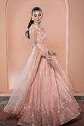 Ramsha | Rangeen Collection | PS-107 - House Of Hania
