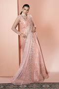 Ramsha | Rangeen Collection | PS-107 - House Of Hania
