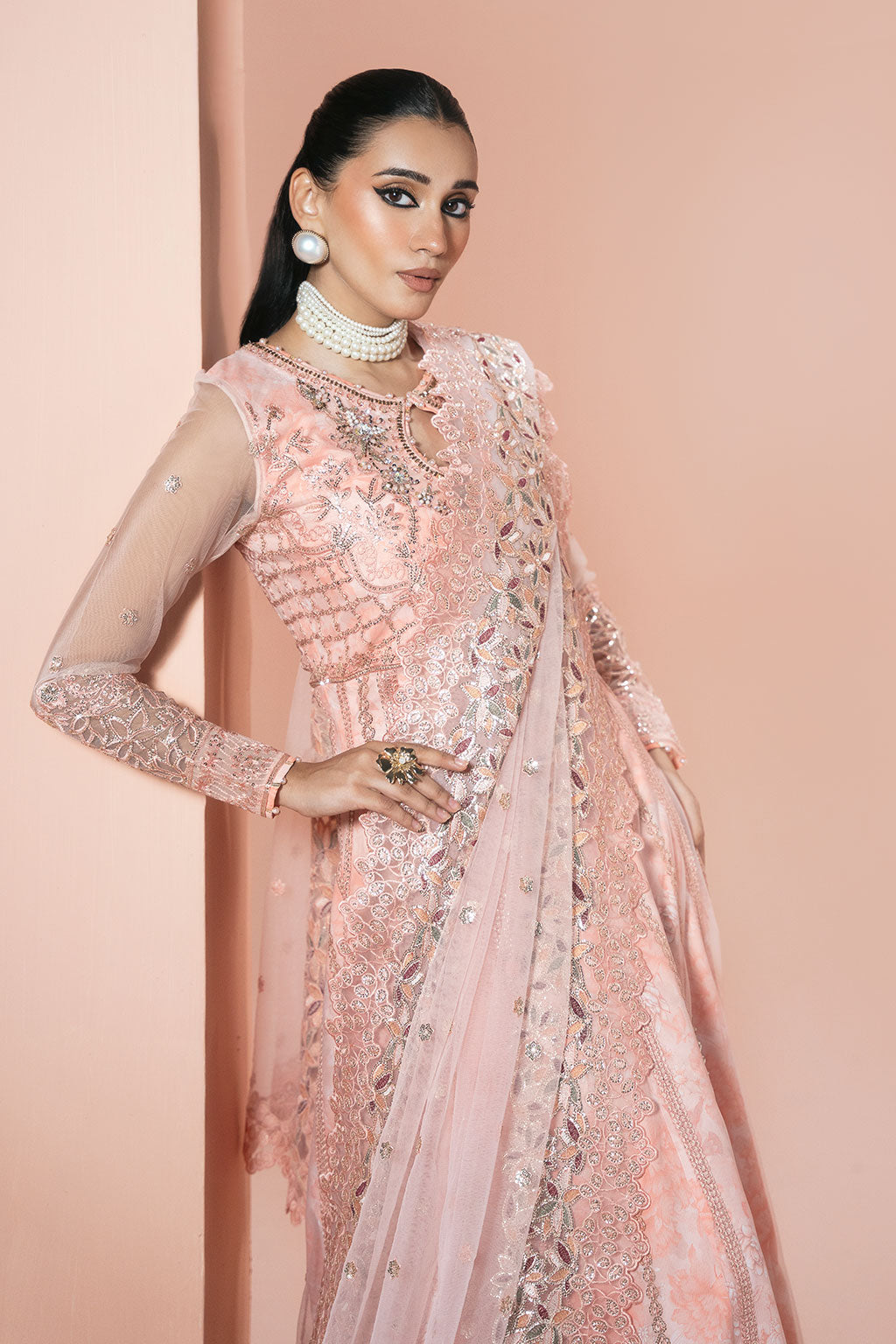 Ramsha | Rangeen Collection | PS-107 - House Of Hania