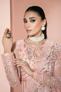 Ramsha | Rangeen Collection | PS-107 - House Of Hania