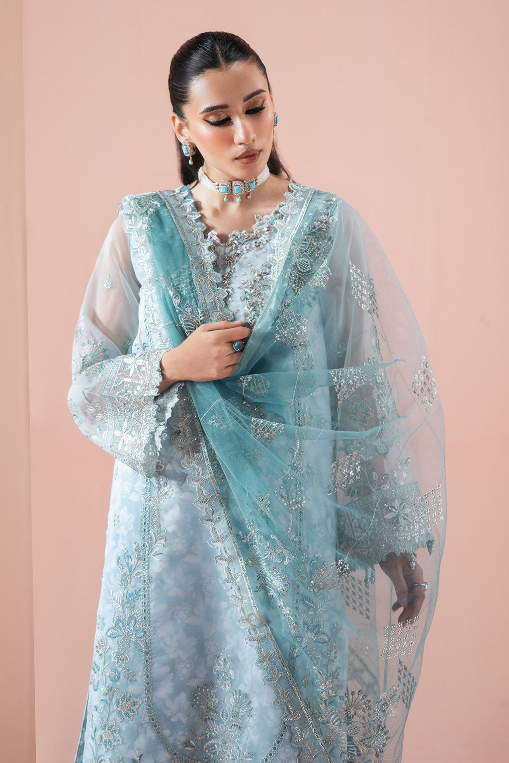 Ramsha | Rangeen Collection | PS-108 - House Of Hania