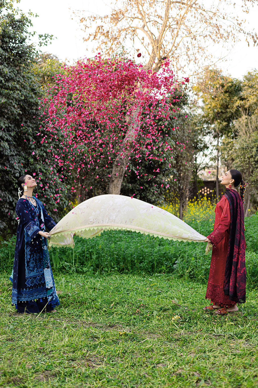 Ramsha | Riwayat Lawn Collection | Y-1204 - House Of Hania