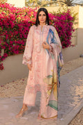 Rang Rasiya - Camilia - House Of Hania
