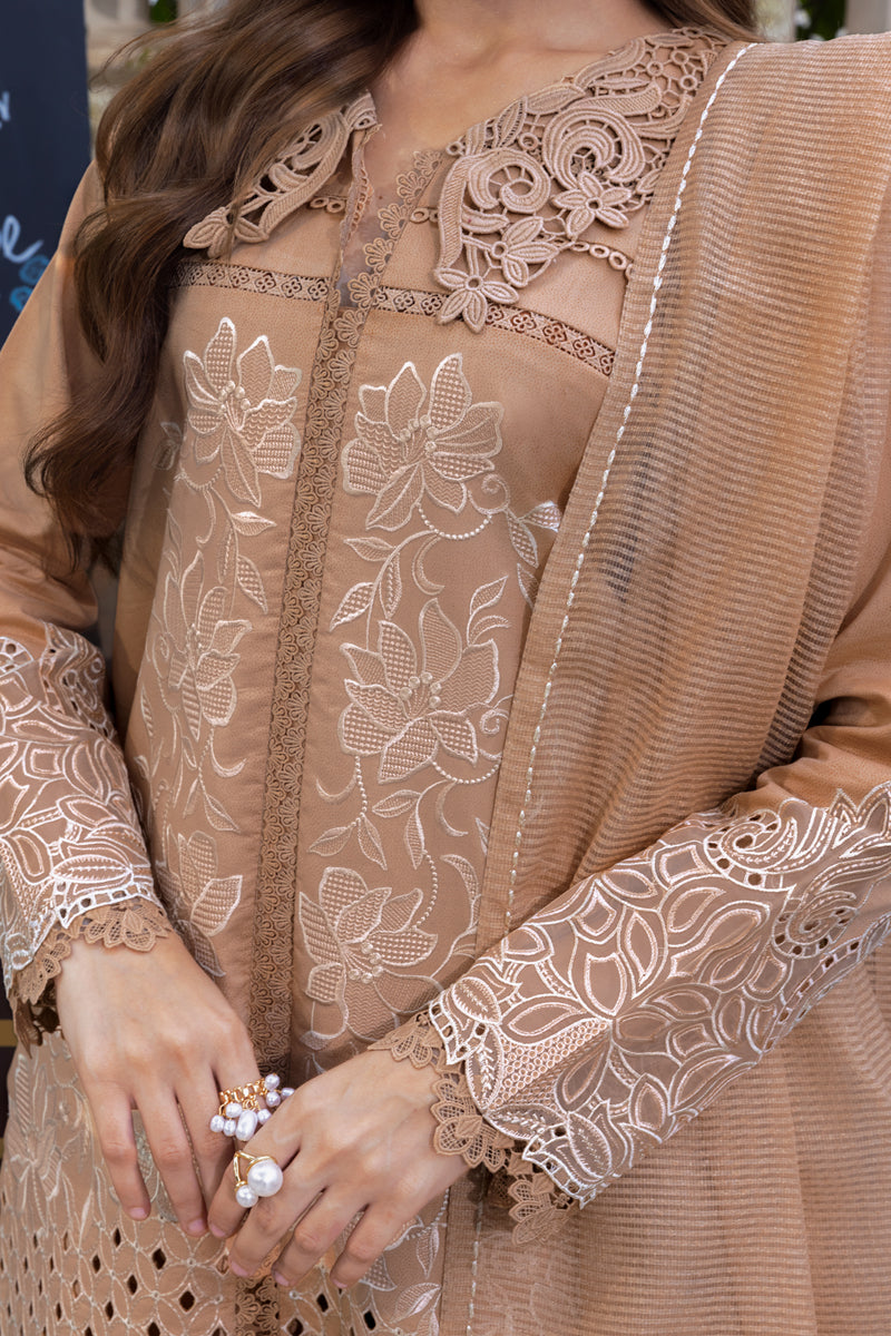 Rangrasiya | Carnation Luxury Festive Edit 25 | Kaia - House Of Hania