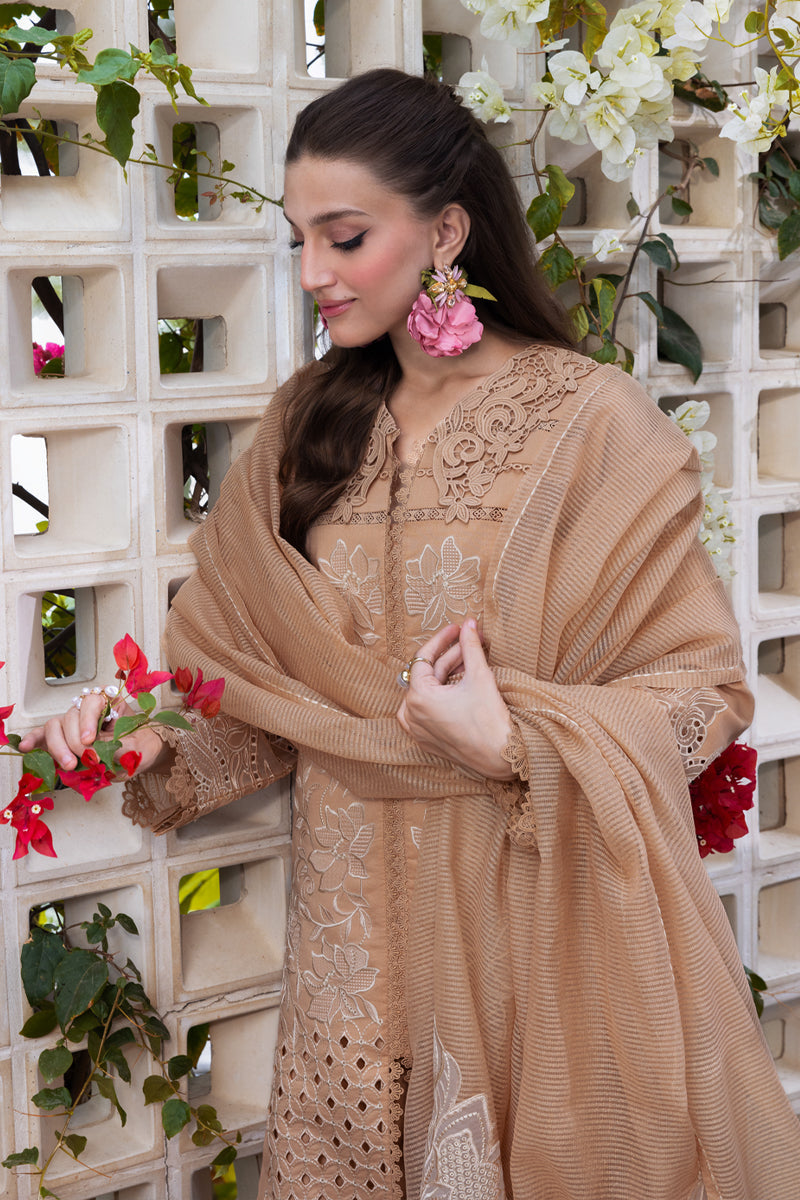 Rangrasiya | Carnation Luxury Festive Edit 25 | Kaia - House Of Hania