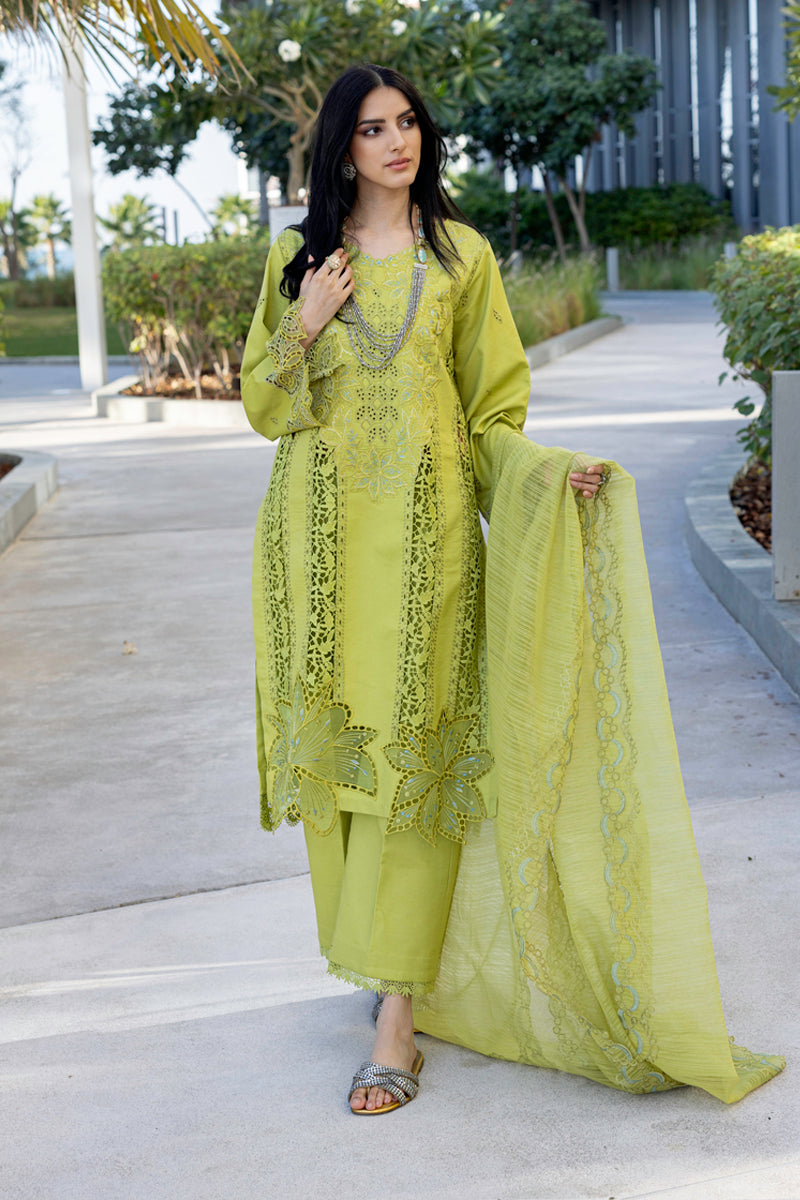 Rangrasiya | Carnation Summer Edit 25 | Aaleen - House Of Hania