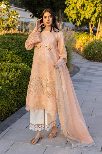 Rangrasiya | Carnation Summer Edit 25 | Zinnia - House Of Hania