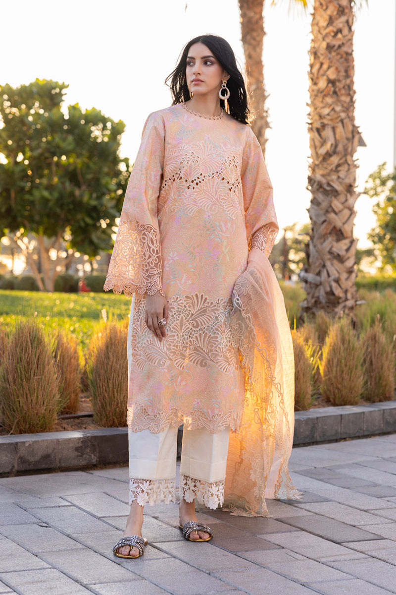 Rangrasiya | Carnation Summer Edit 25 | Zinnia - House Of Hania