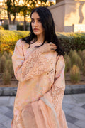 Rangrasiya | Carnation Summer Edit 25 | Zinnia - House Of Hania