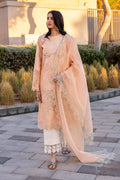 Rangrasiya | Carnation Summer Edit 25 | Zinnia - House Of Hania