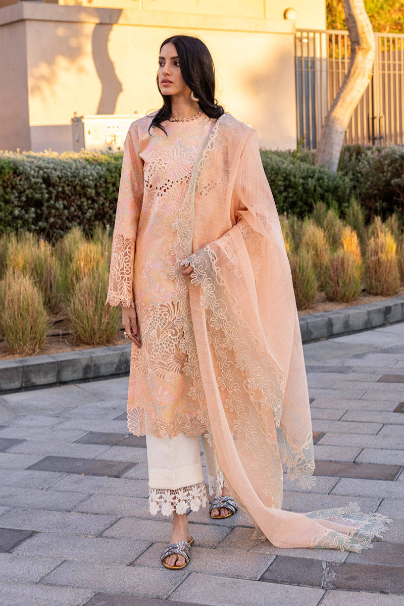 Rangrasiya | Carnation Summer Edit 25 | Zinnia - House Of Hania