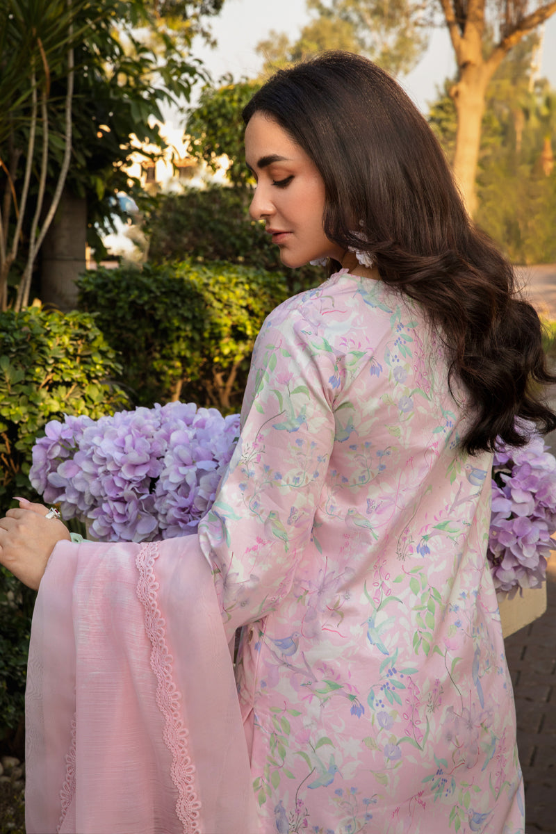 Rangrasiya | Florence Summer Edit 25 | Rania - House Of Hania