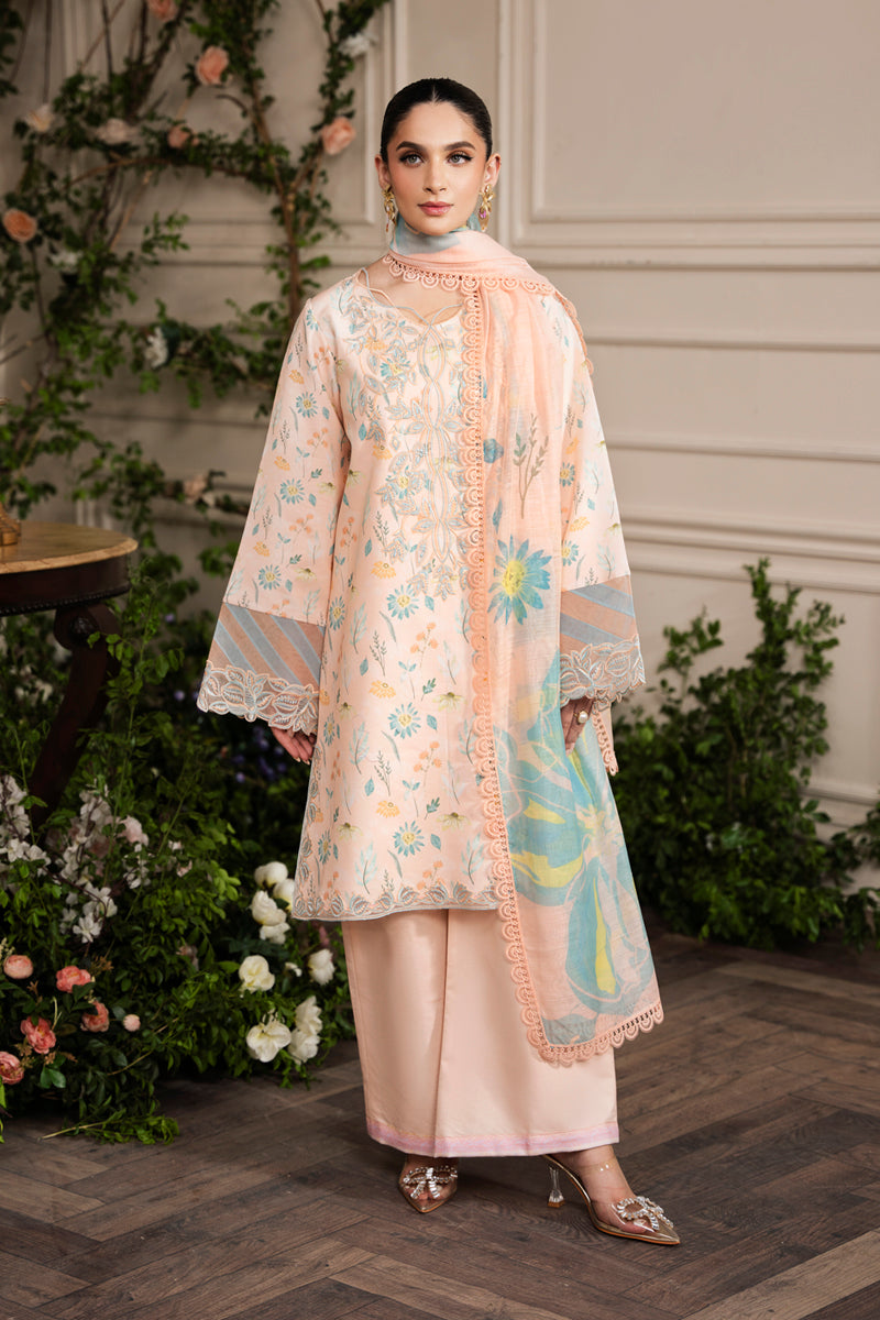 Rangrasiya | Lifestyle Embroidered Edit 24 | BLUSH - House Of Hania