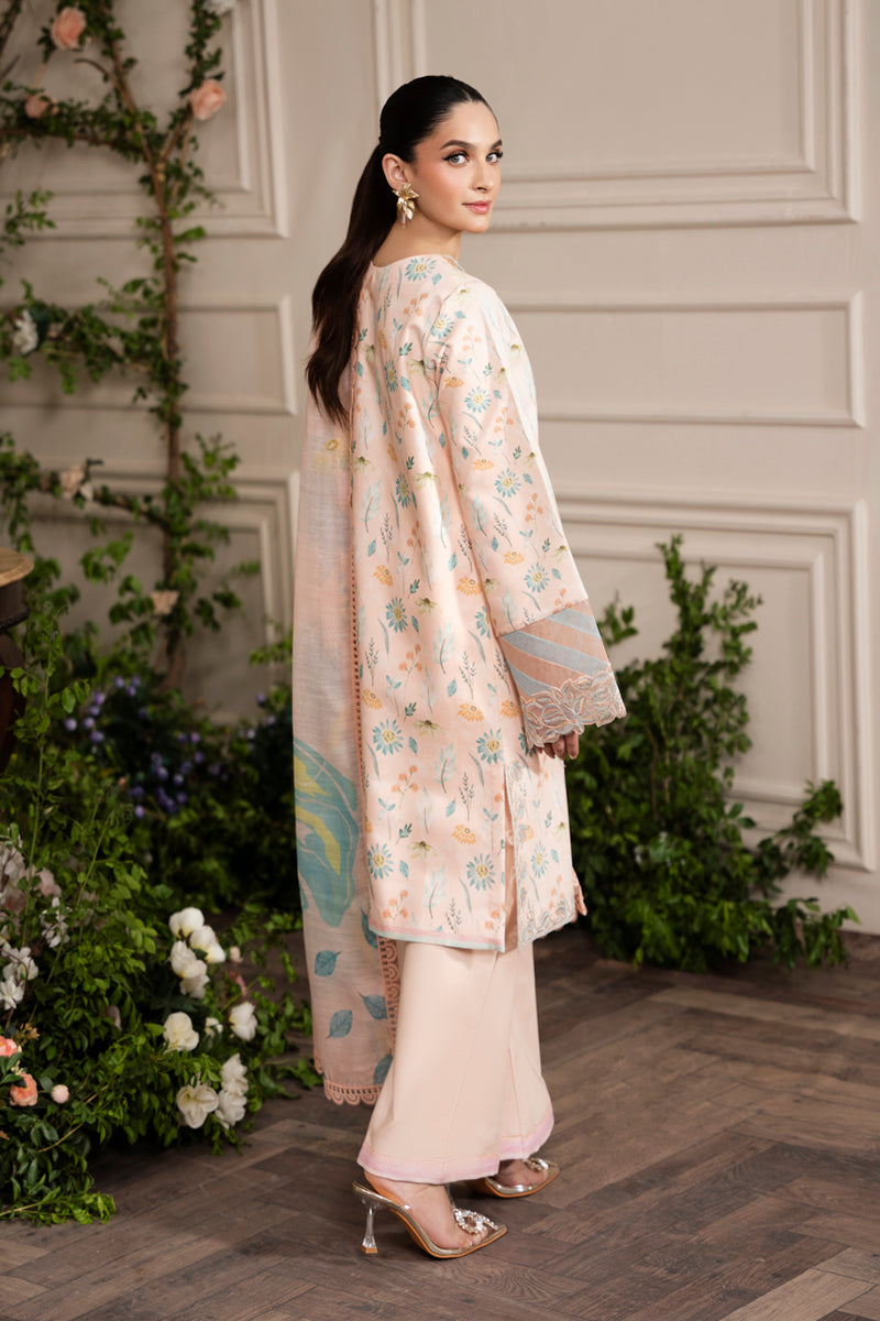 Rangrasiya | Lifestyle Embroidered Edit 24 | BLUSH - House Of Hania