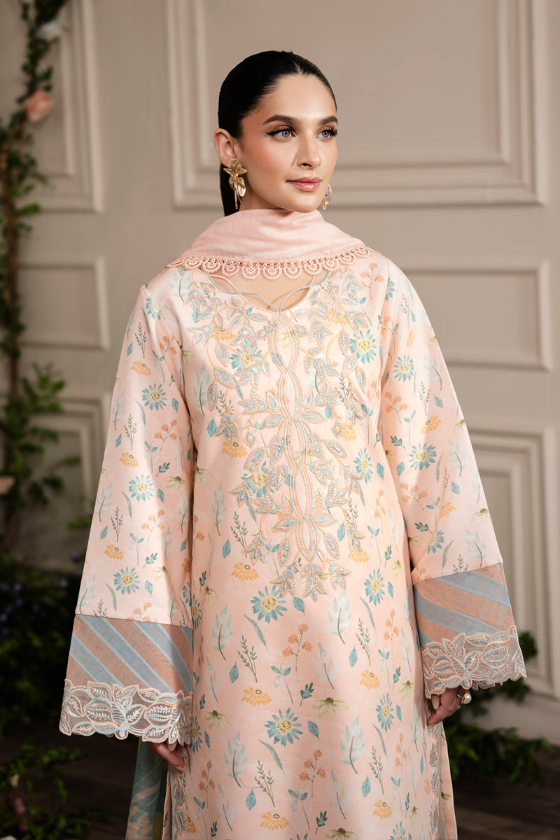 Rangrasiya | Lifestyle Embroidered Edit 24 | BLUSH - House Of Hania