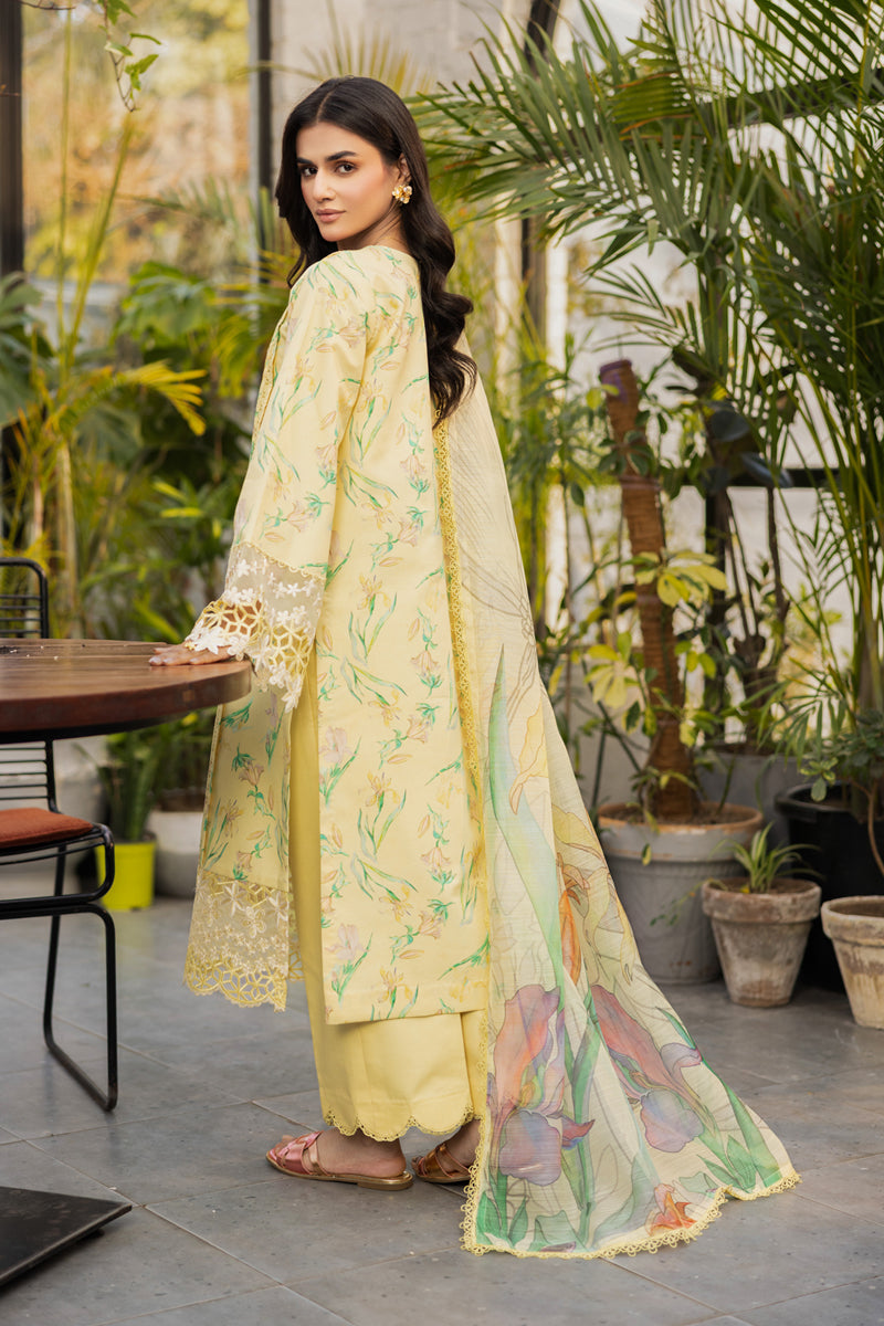 Rangrasiya | Lifestyle Summer Edit 25 | Olivine - House Of Hania