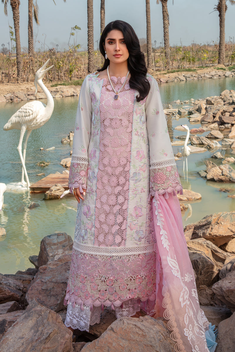 Rangrasiya | Premium Collection 24 | HOORIAN - House Of Hania