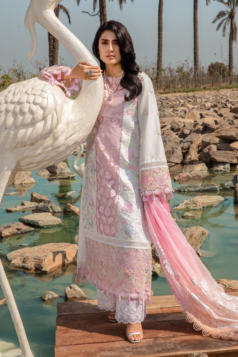 Rangrasiya | Premium Collection 24 | HOORIAN - House Of Hania