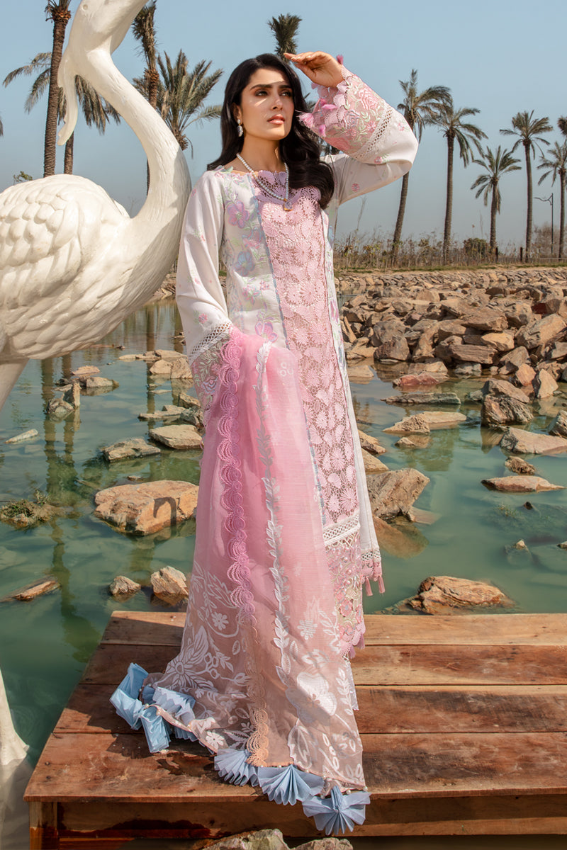 Rangrasiya | Premium Collection 24 | HOORIAN - House Of Hania