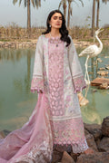 Rangrasiya | Premium Collection 24 | HOORIAN - House Of Hania