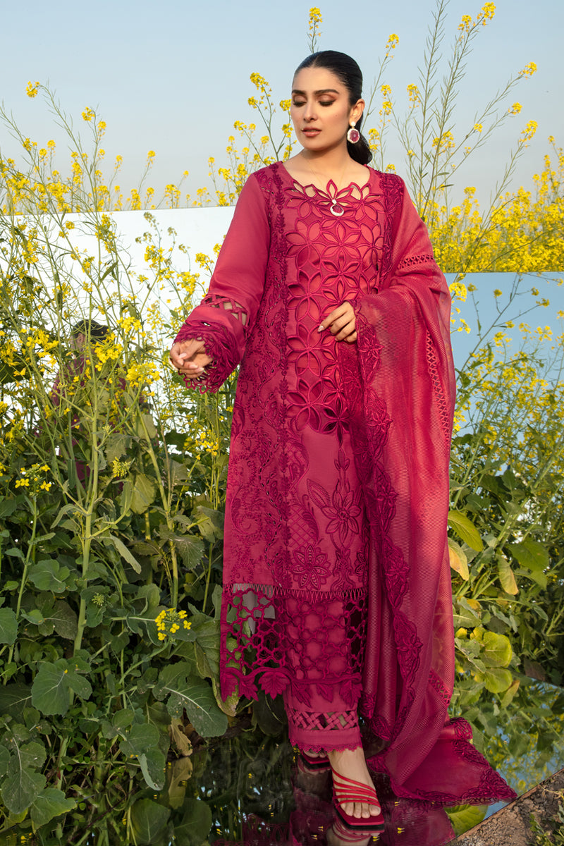Rangrasiya | Premium Collection 24 | MAYA - House Of Hania