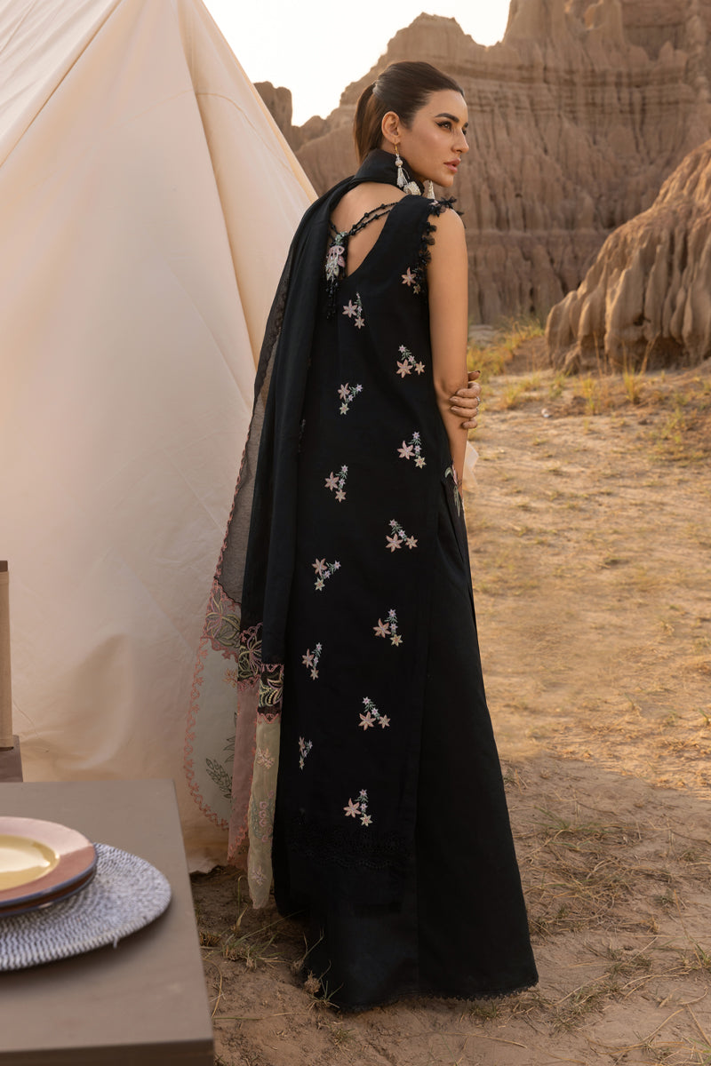 Rangrasiya | Premium Eid Edit 25 | Zoya - House Of Hania