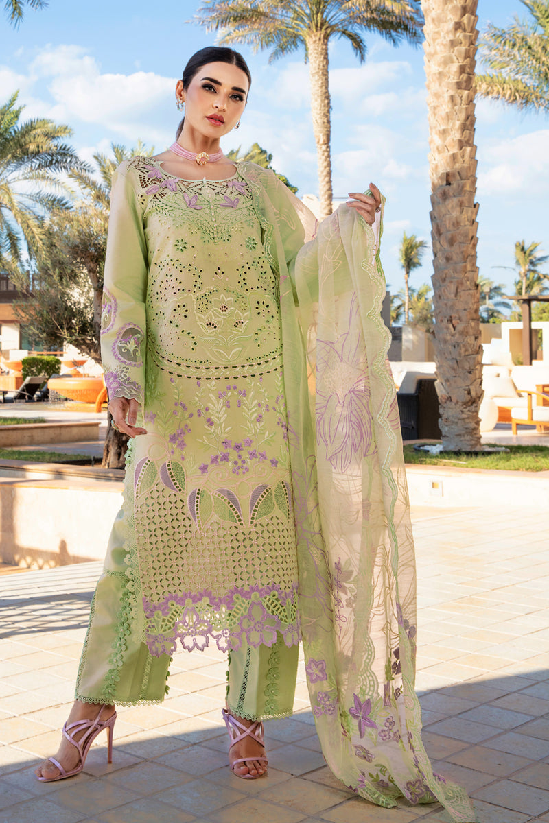 Rangrasiya | Premium Summer Lawn 25 | Ayleen - House Of Hania